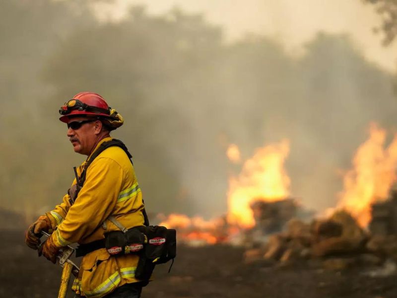 California Wildfires: State of Emergency Declared as Park and Gold Complex Fires Rage