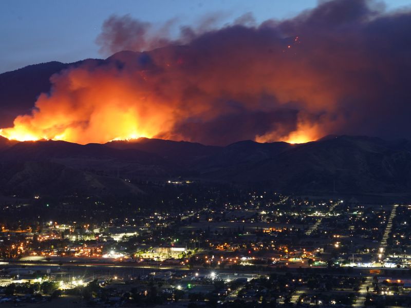 California Wildfires: State of Emergency Declared as Park and Gold Complex Fires Rage