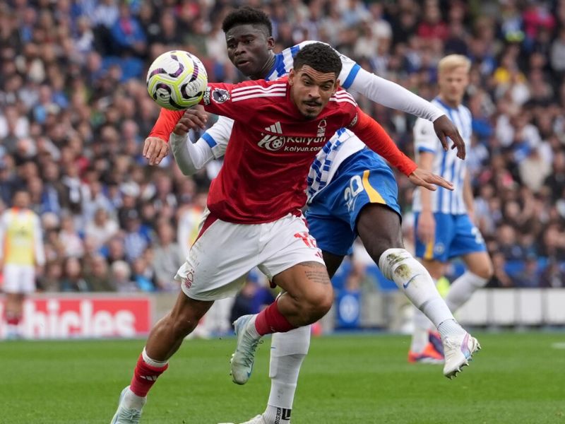 Brighton vs Nottingham Forest: Team News, Hurzeler's Tactics, and Key Match Insights