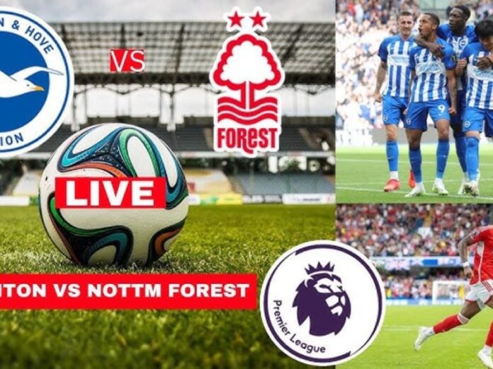 Brighton vs Nottingham Forest: Team News, Hurzeler's Tactics, and Key Match Insights