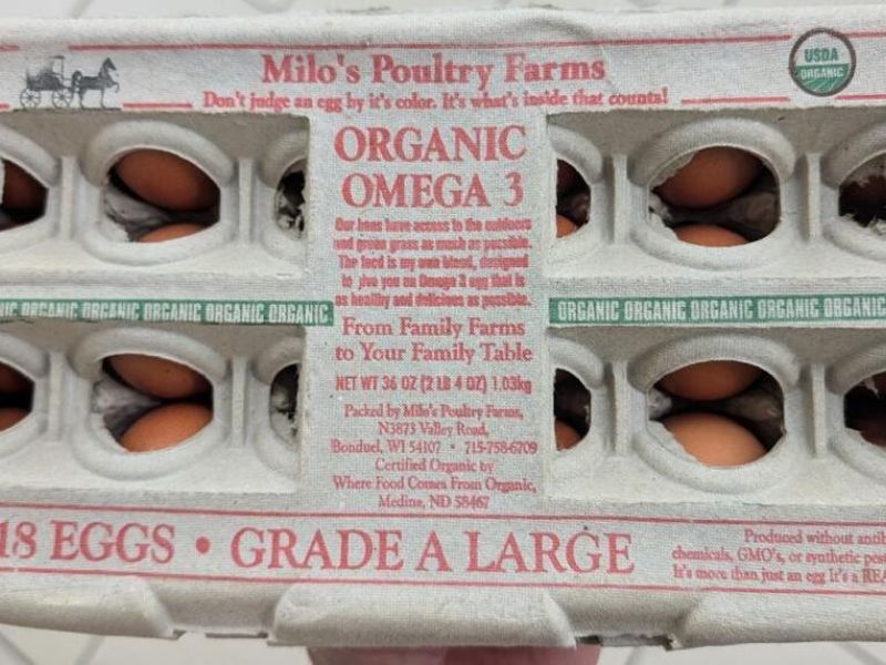 Salmonella Outbreak Linked to Recalled Eggs: 65 Sickened Across Nine States